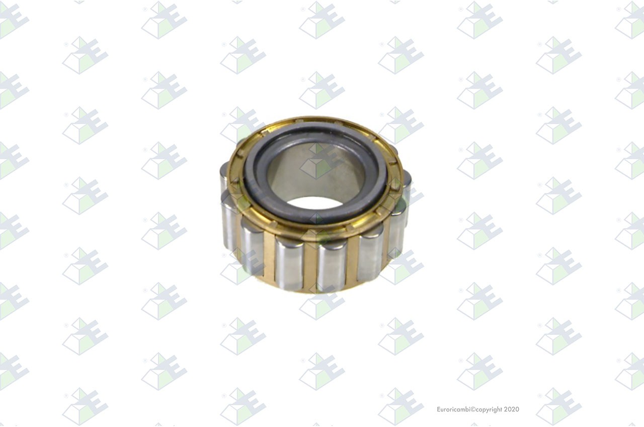 Bush — 95570509 — EURORICAMBI