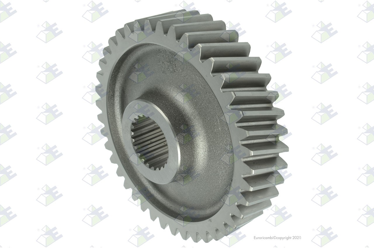 Diff. pinion 10 t. — 18170100 — EURORICAMBI