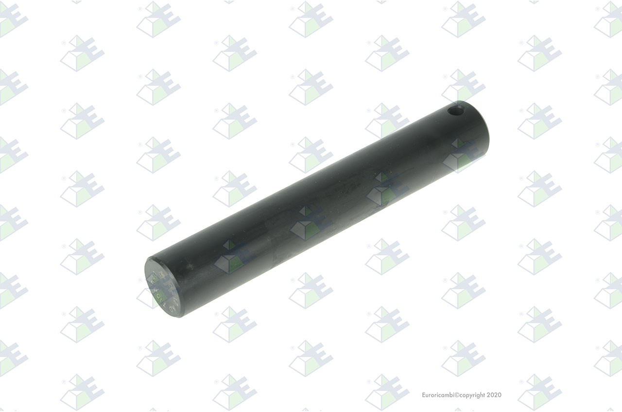 Seal ring 176x196x5.8 mm — 30170426 — EURORICAMBI