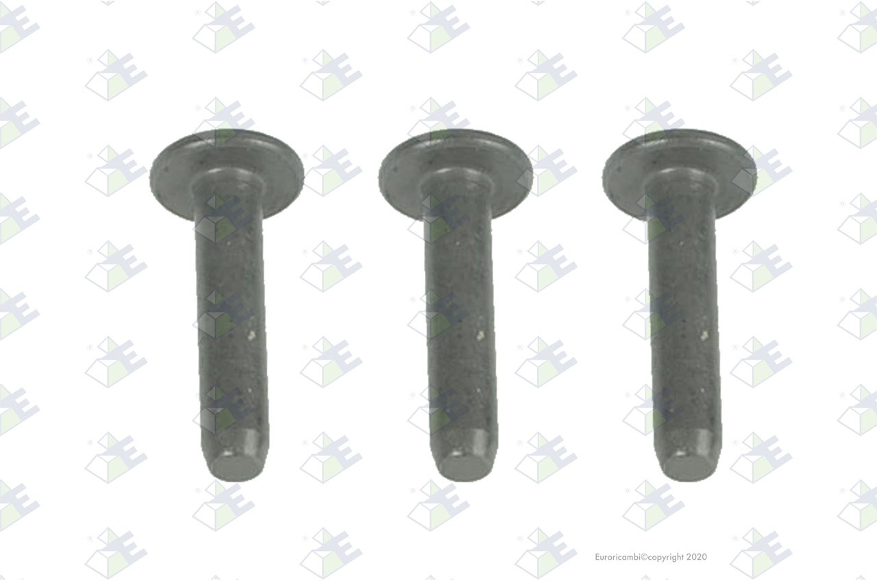 Diff. pinion 8 t. — 30170618 — EURORICAMBI